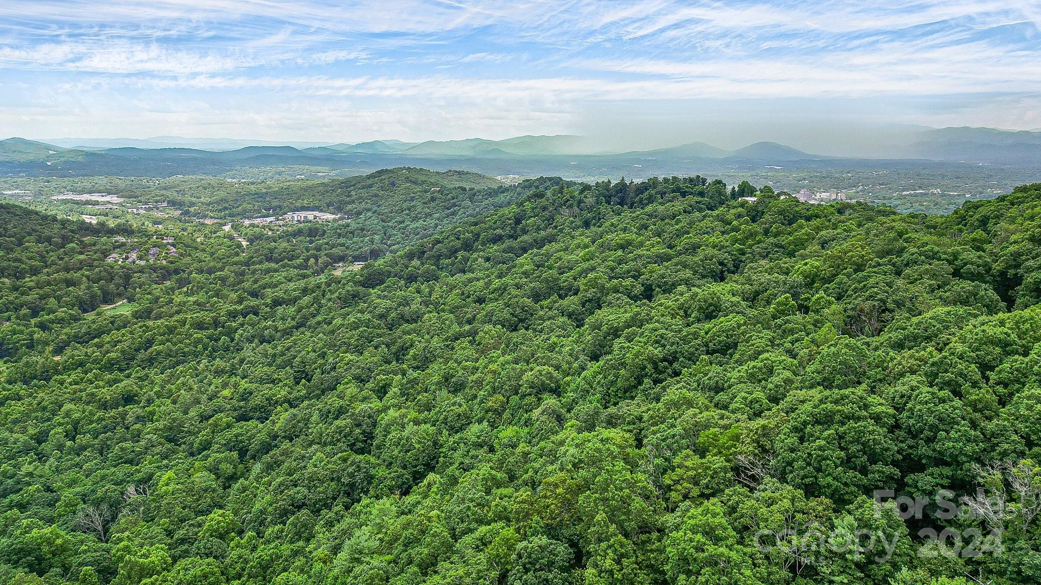 99999 Vance Gap Road Asheville NC 28805