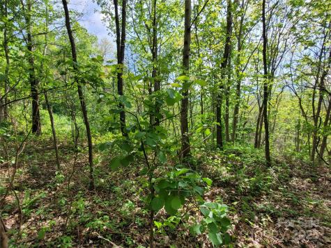 00 Liner Cove Road Waynesville NC 28786