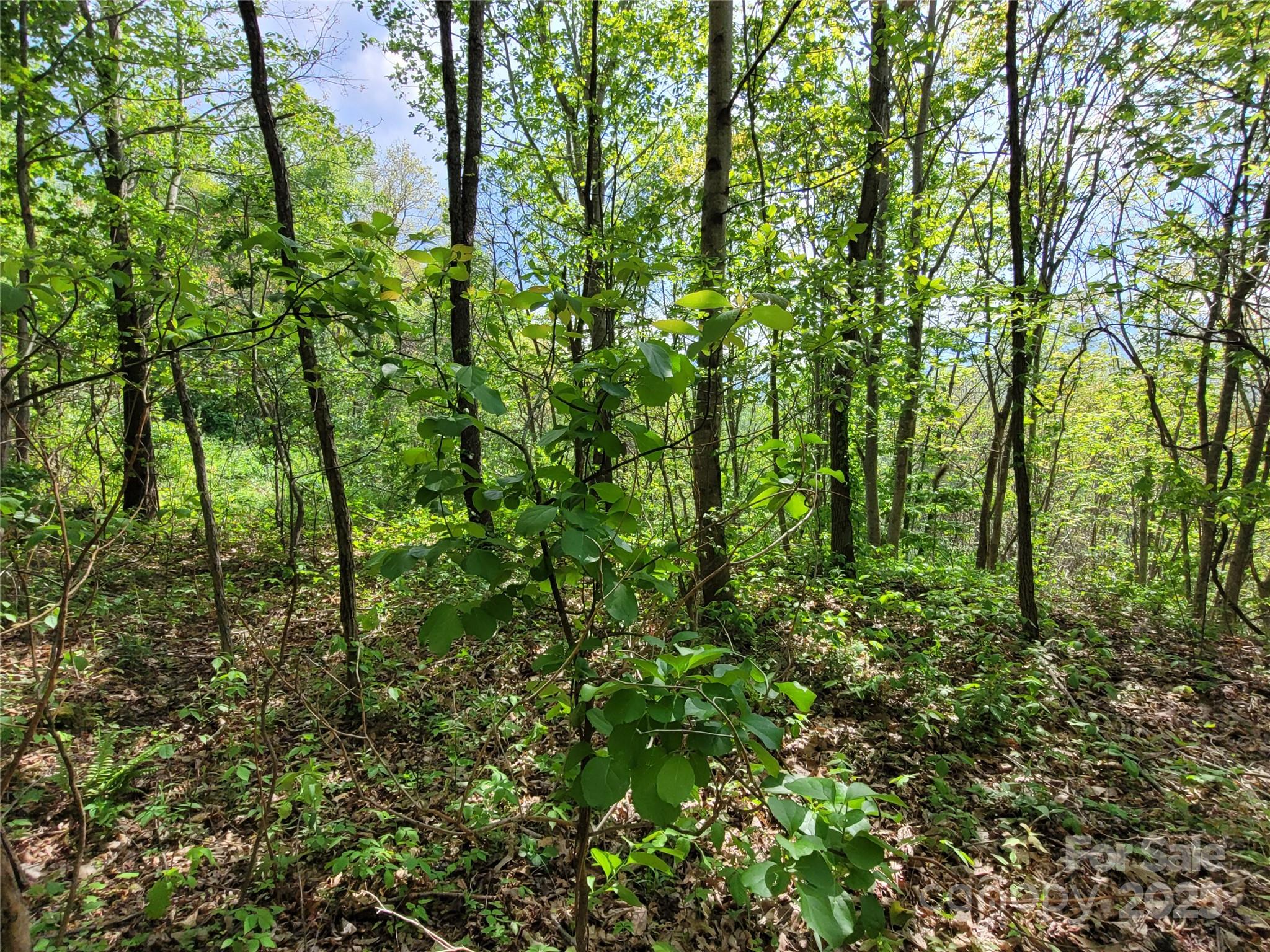 00 Liner Cove Road Waynesville NC 28786