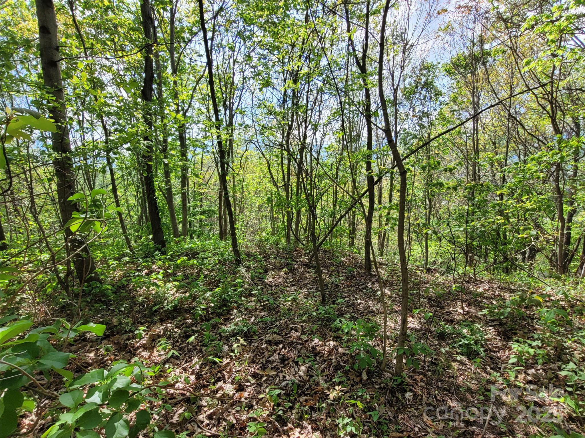 00 Liner Cove Road Waynesville NC 28786