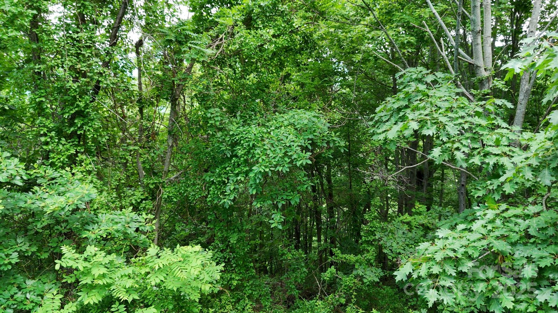 00 Liner Cove Road Waynesville NC 28786