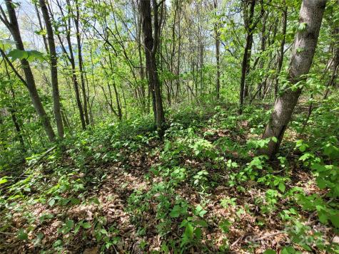 00 Liner Cove Road Waynesville NC 28786