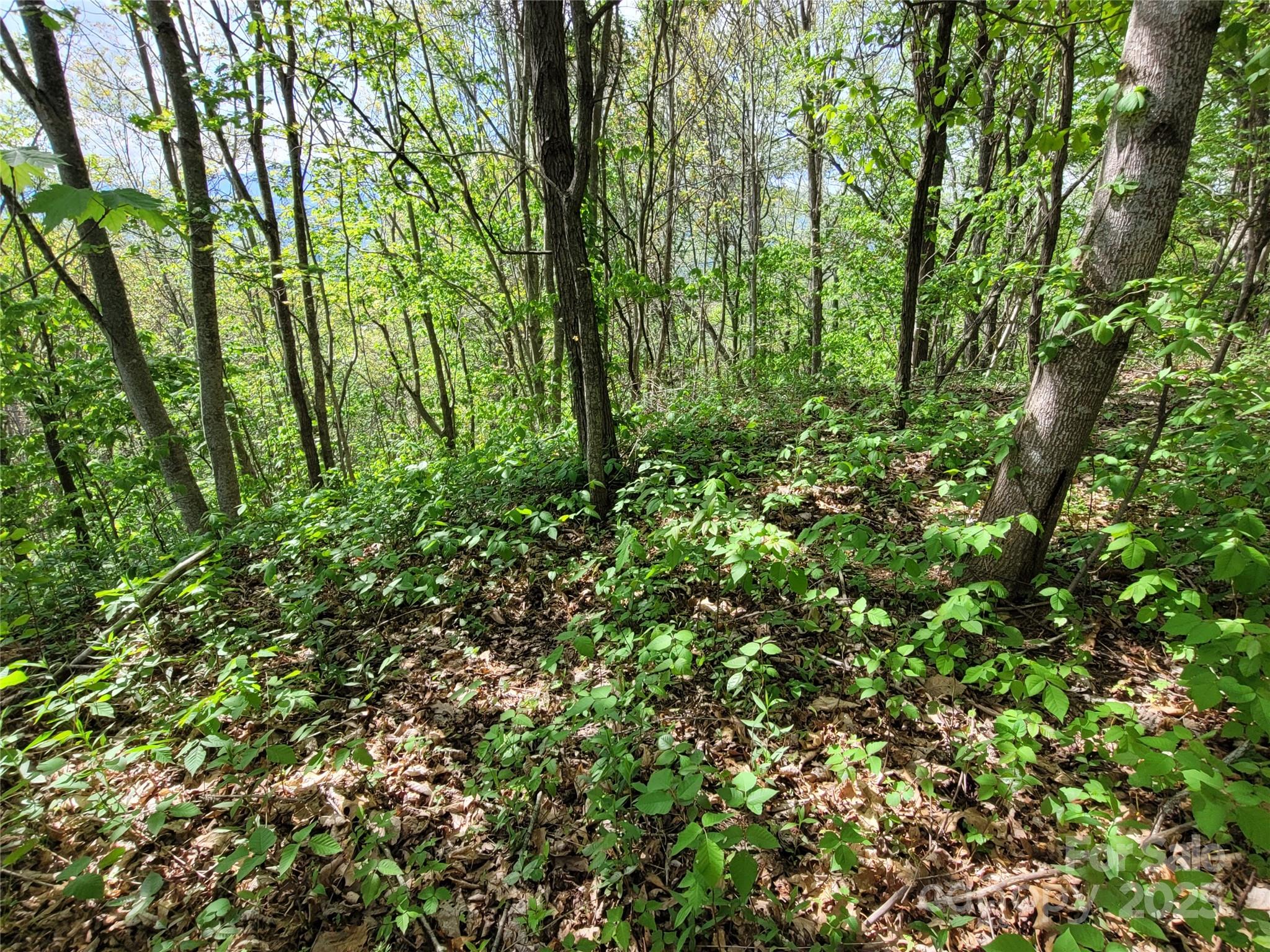 00 Liner Cove Road Waynesville NC 28786