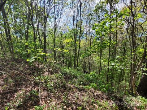 00 Liner Cove Road Waynesville NC 28786