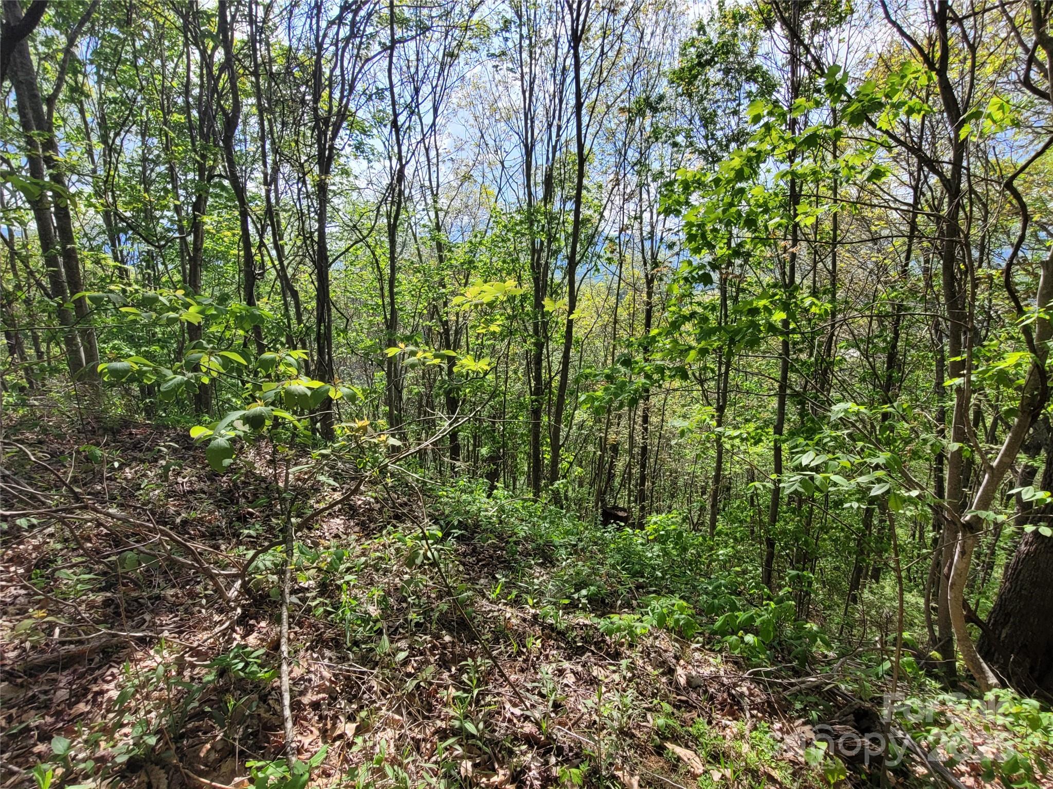 00 Liner Cove Road Waynesville NC 28786