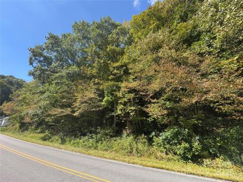 00 Puncheon Fork Road Mars Hill NC 28754