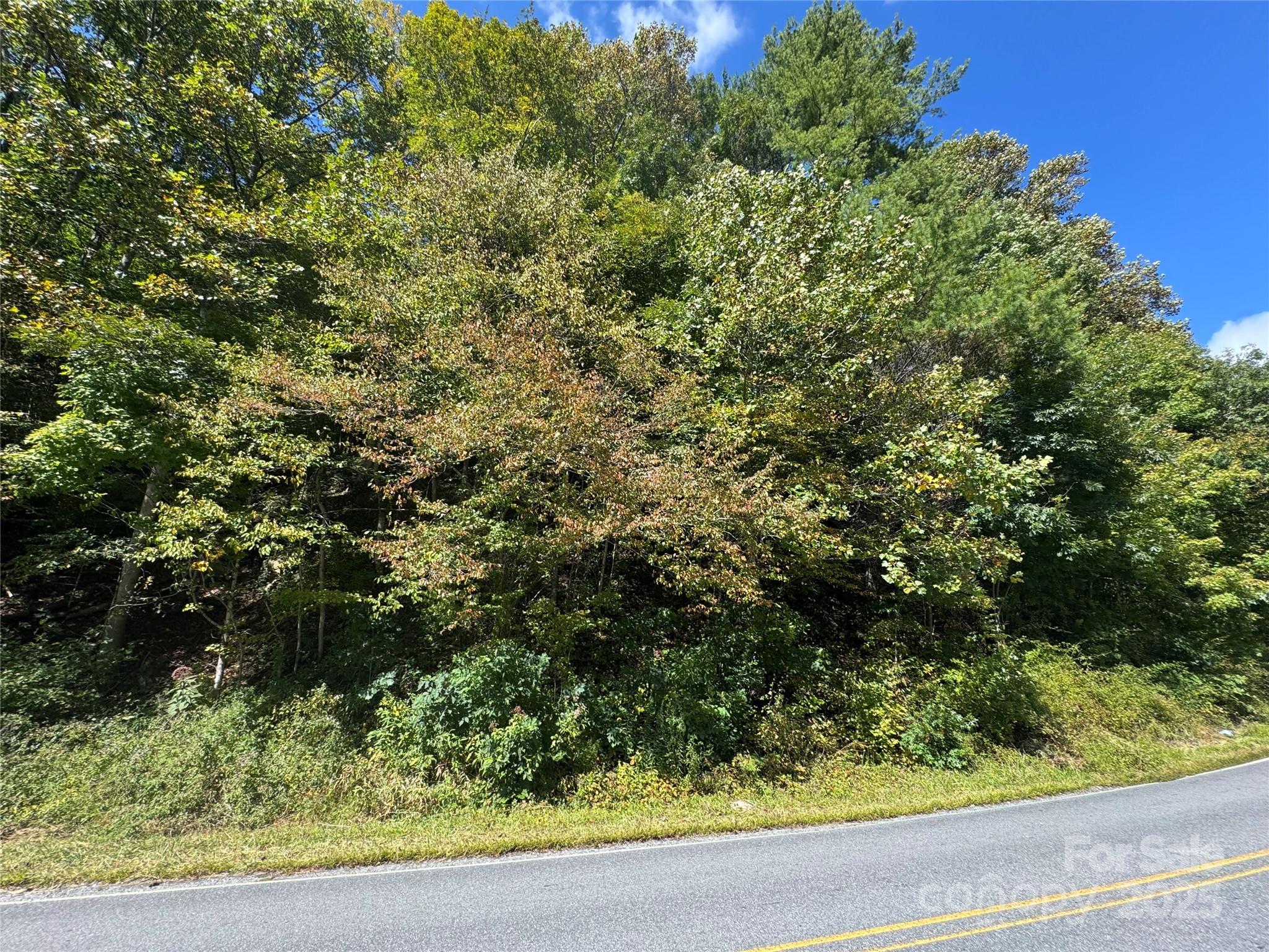 00 Puncheon Fork Road Mars Hill NC 28754