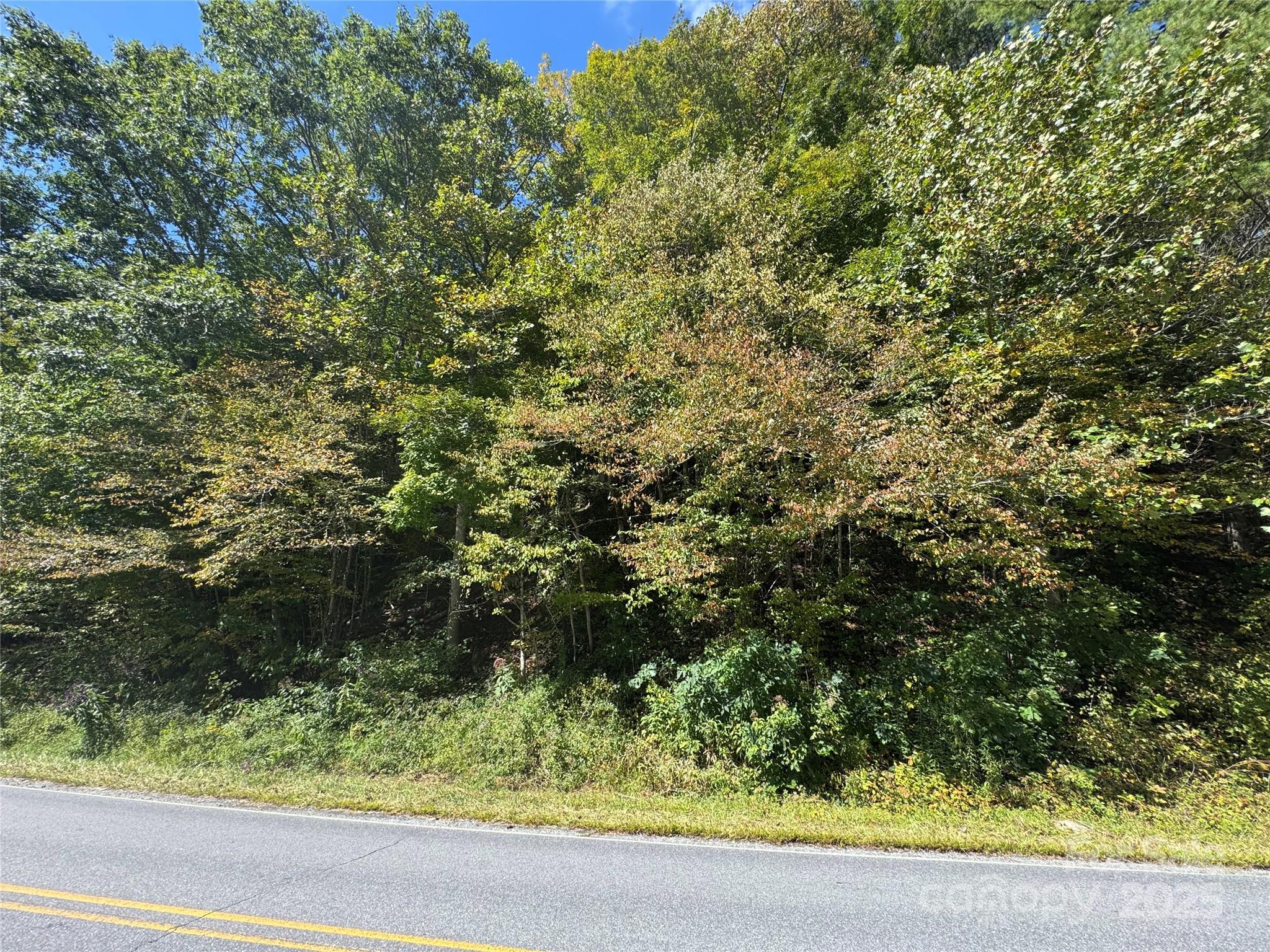 00 Puncheon Fork Road Mars Hill NC 28754