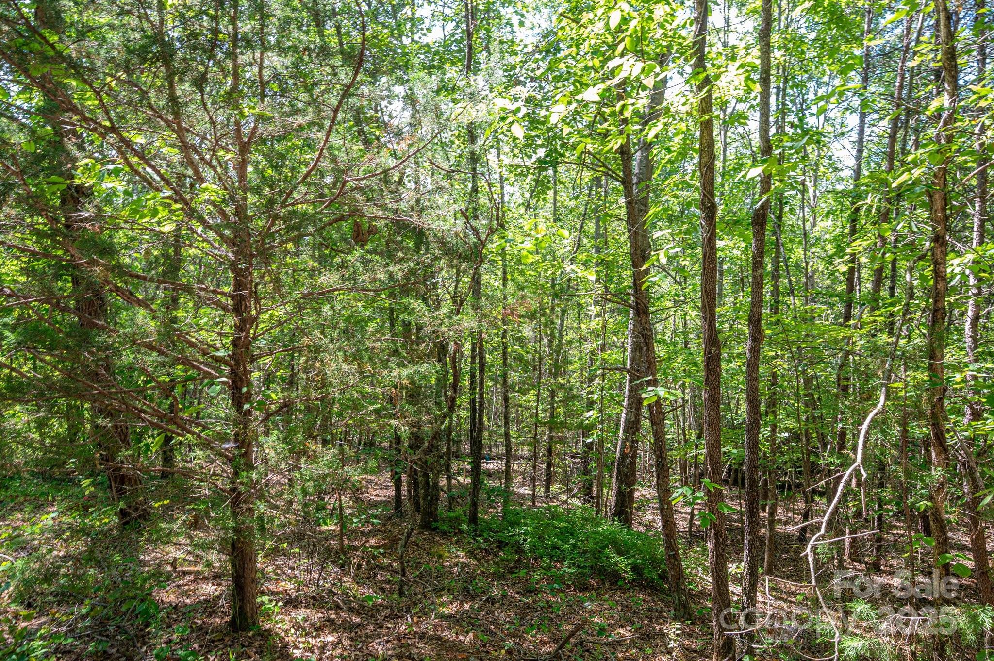 Lot #14 Meadow Crossing Drive Rutherfordton NC 28139