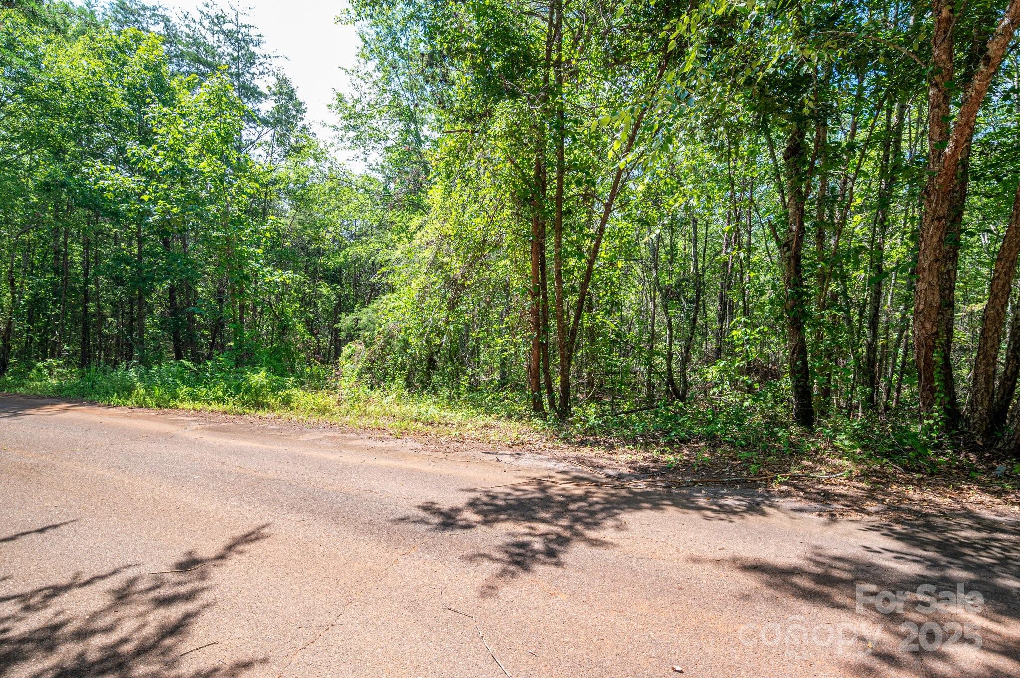 Lot #14 Meadow Crossing Drive Rutherfordton NC 28139