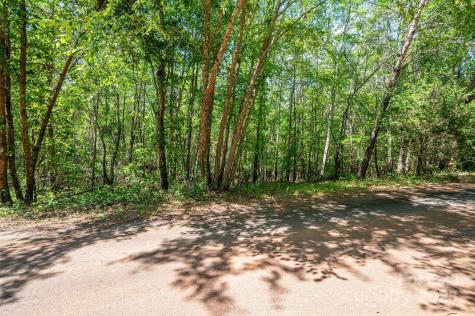 Lot #14 Meadow Crossing Drive Rutherfordton NC 28139