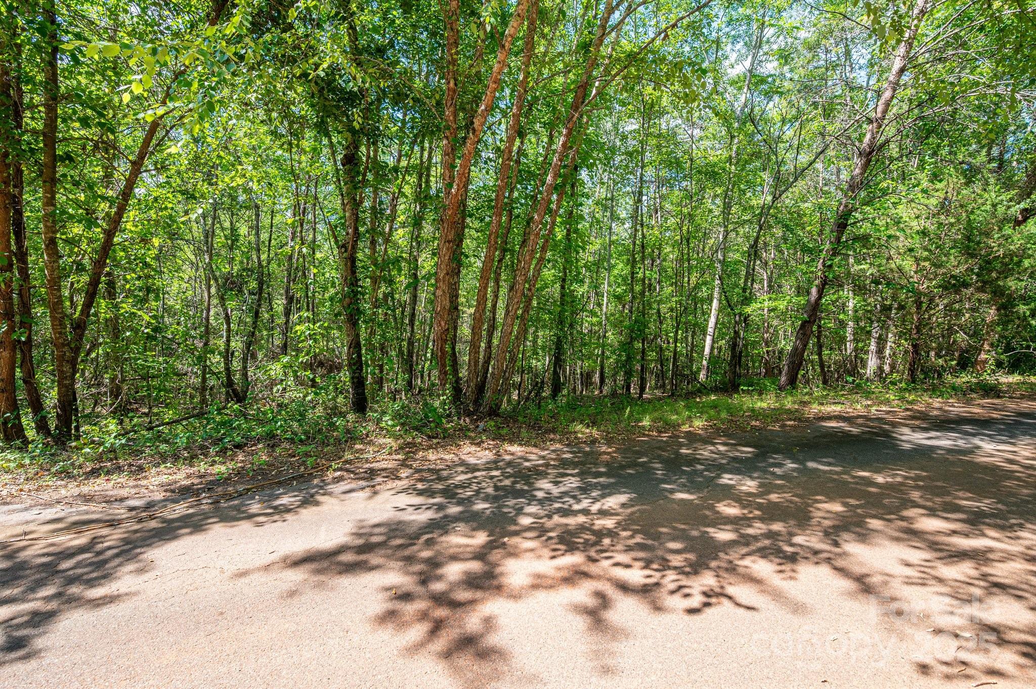 Lot #14 Meadow Crossing Drive Rutherfordton NC 28139