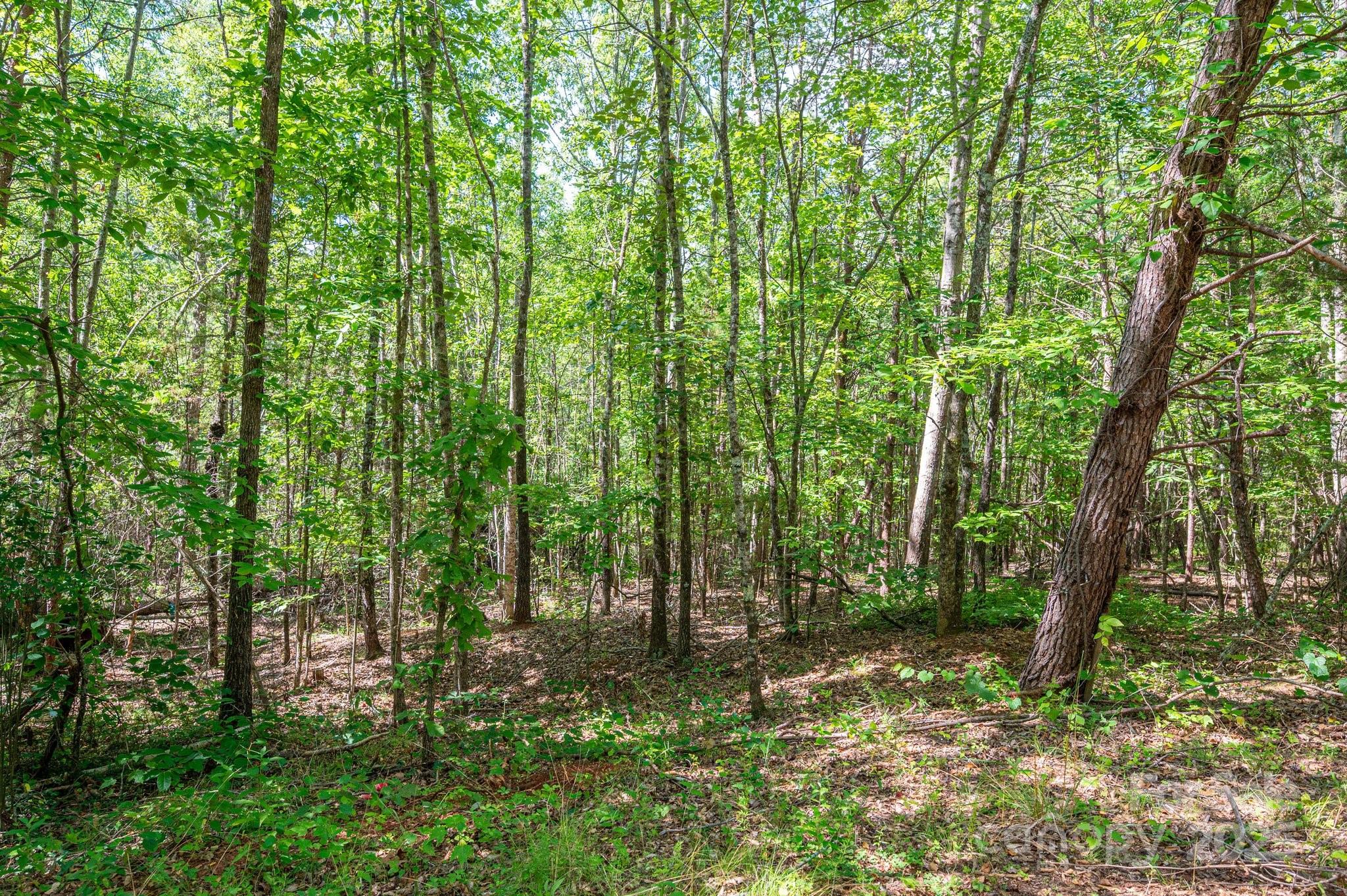 Lot #14 Meadow Crossing Drive Rutherfordton NC 28139