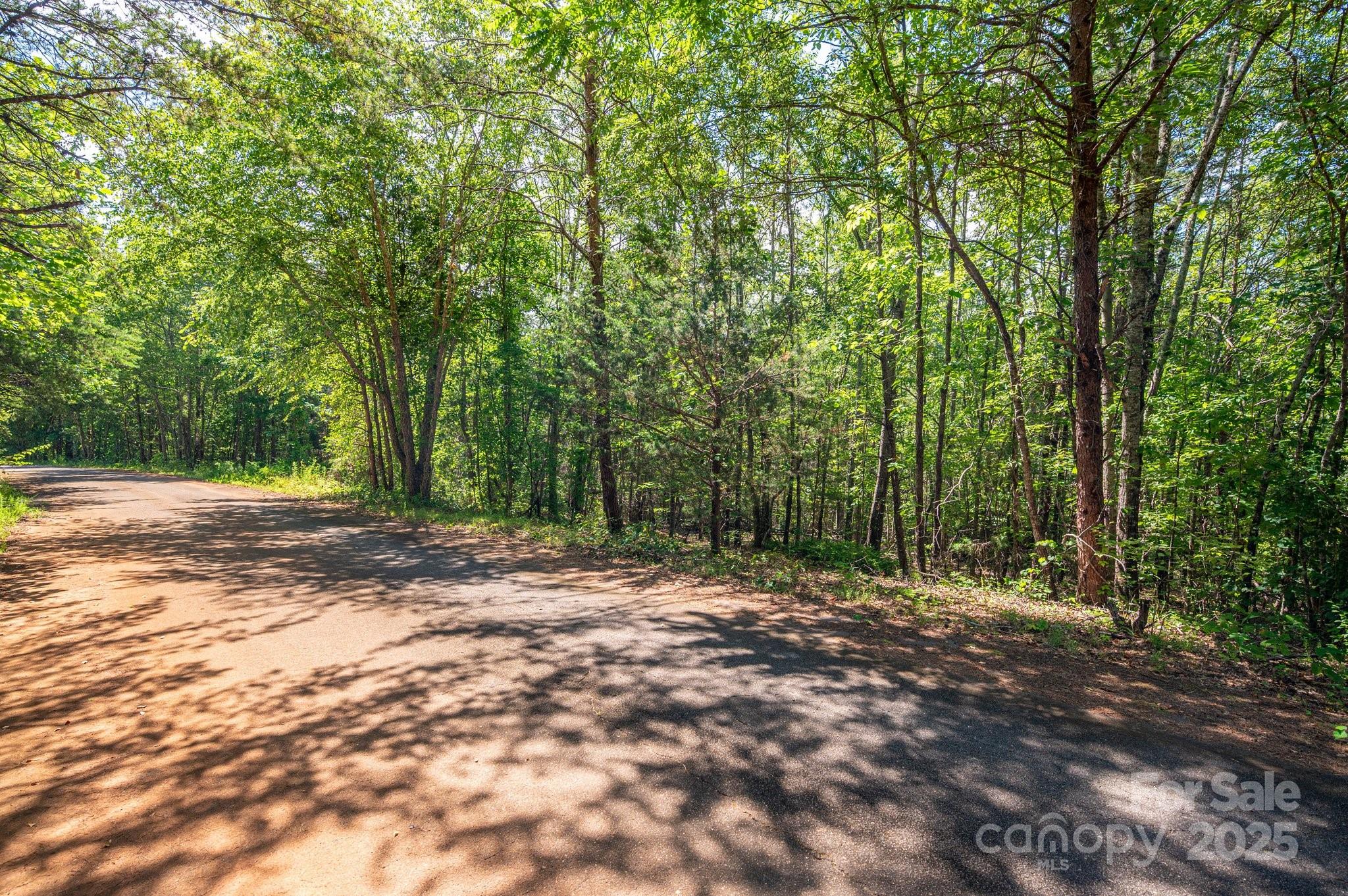 Lot #14 Meadow Crossing Drive Rutherfordton NC 28139