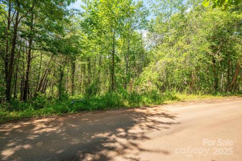 Lot #14 Meadow Crossing Drive Rutherfordton NC 28139