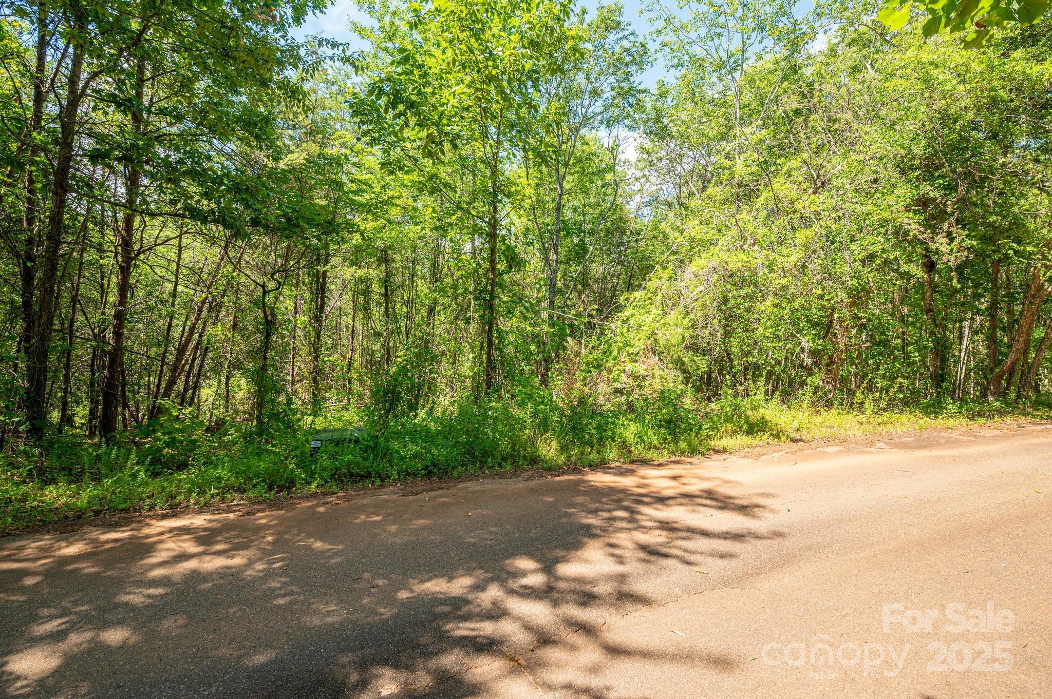 Lot #14 Meadow Crossing Drive Rutherfordton NC 28139