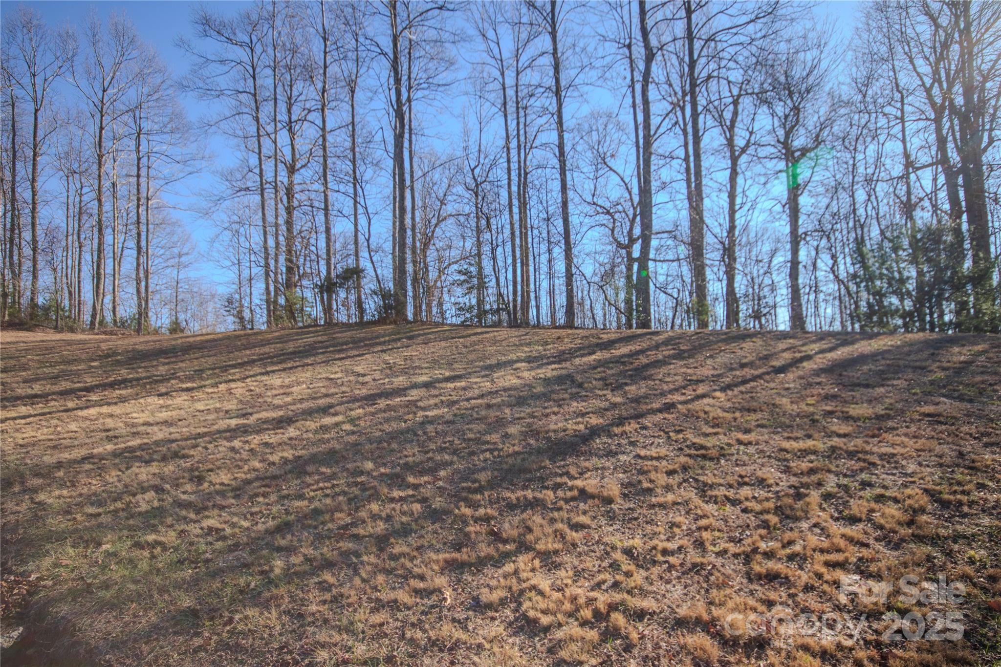 2223 Nighthawk Ridge Court Lenoir NC 28645