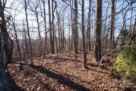 2223 Nighthawk Ridge Court Lenoir NC 28645
