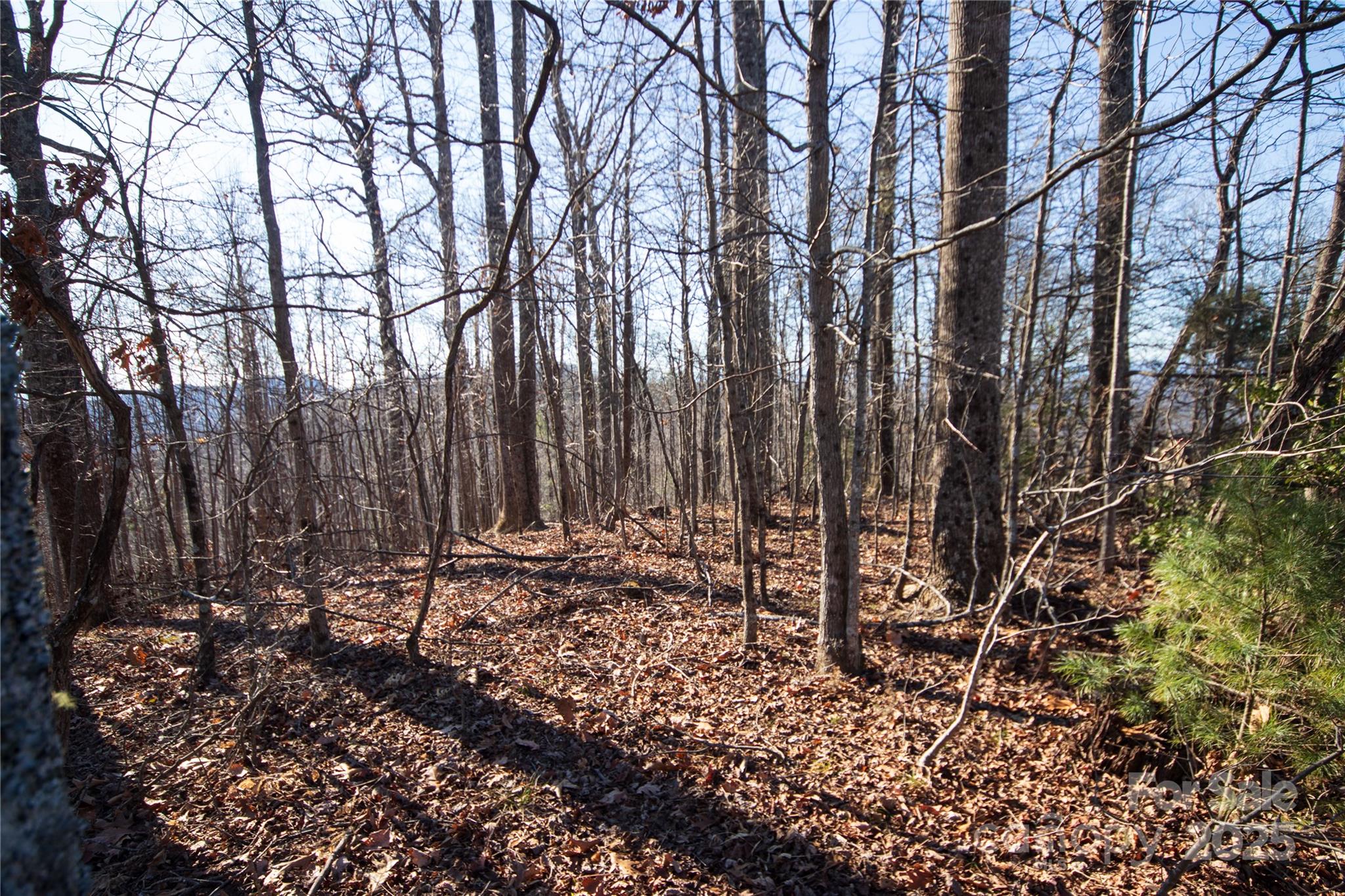 2223 Nighthawk Ridge Court Lenoir NC 28645