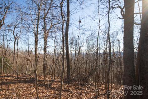 2223 Nighthawk Ridge Court Lenoir NC 28645
