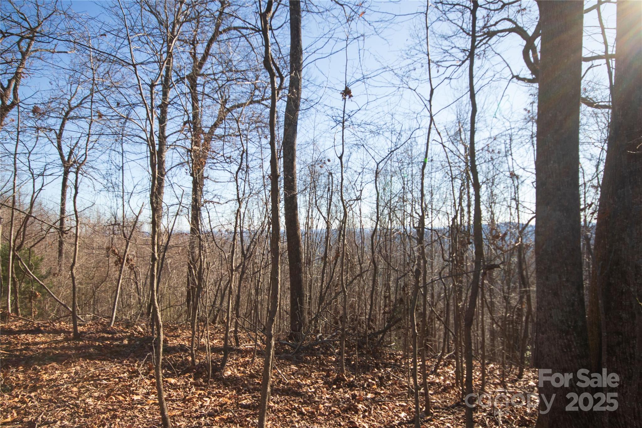 2223 Nighthawk Ridge Court Lenoir NC 28645