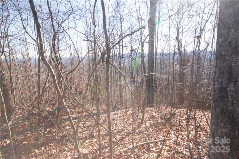 2223 Nighthawk Ridge Court Lenoir NC 28645