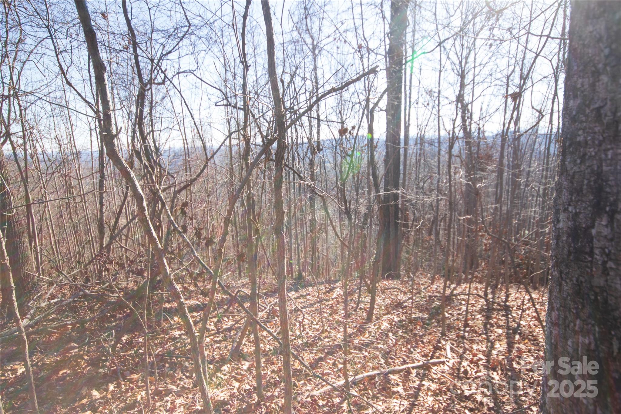 2223 Nighthawk Ridge Court Lenoir NC 28645