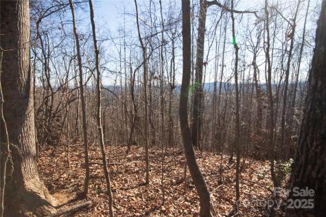 2223 Nighthawk Ridge Court Lenoir NC 28645