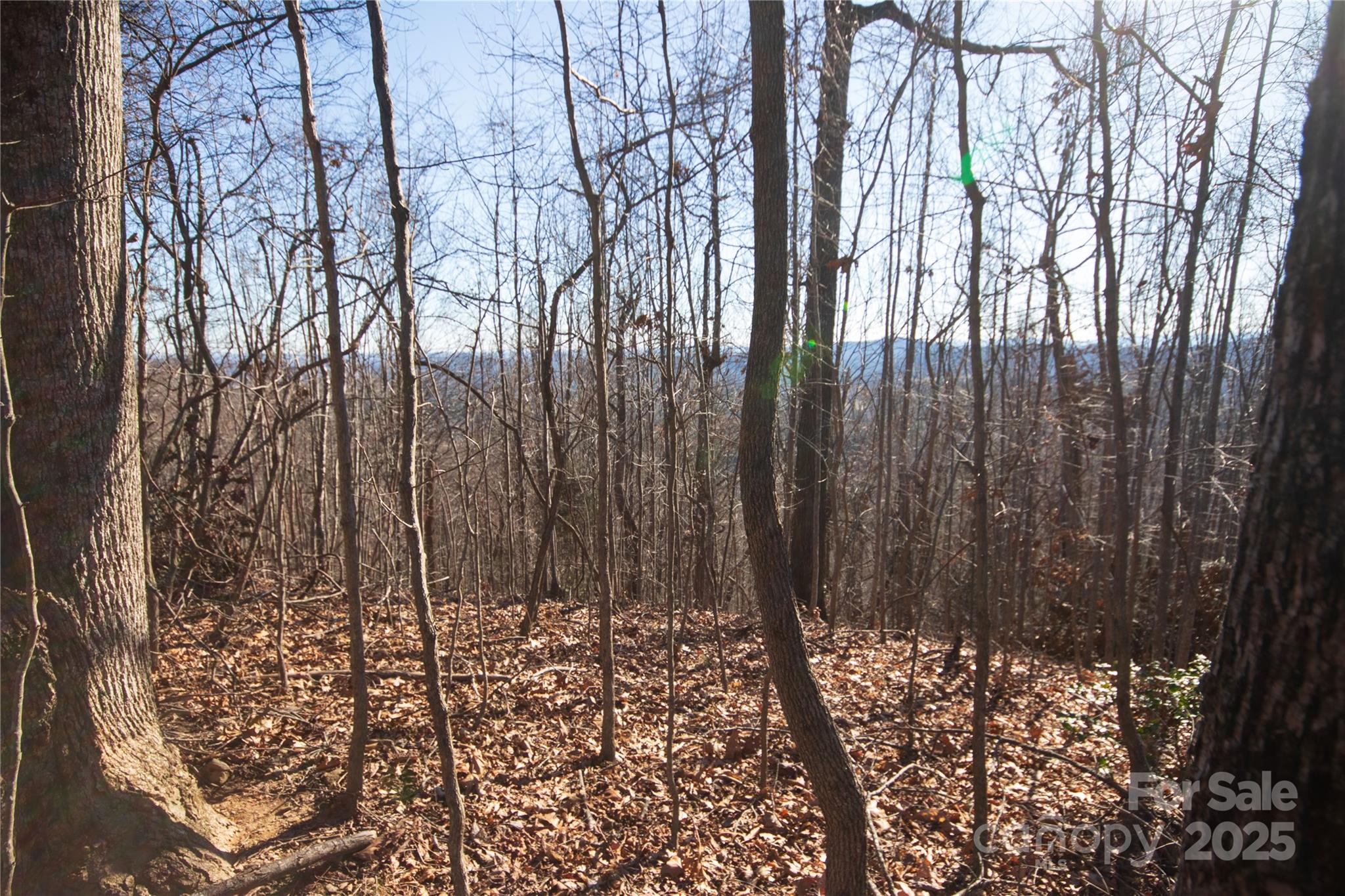 2223 Nighthawk Ridge Court Lenoir NC 28645