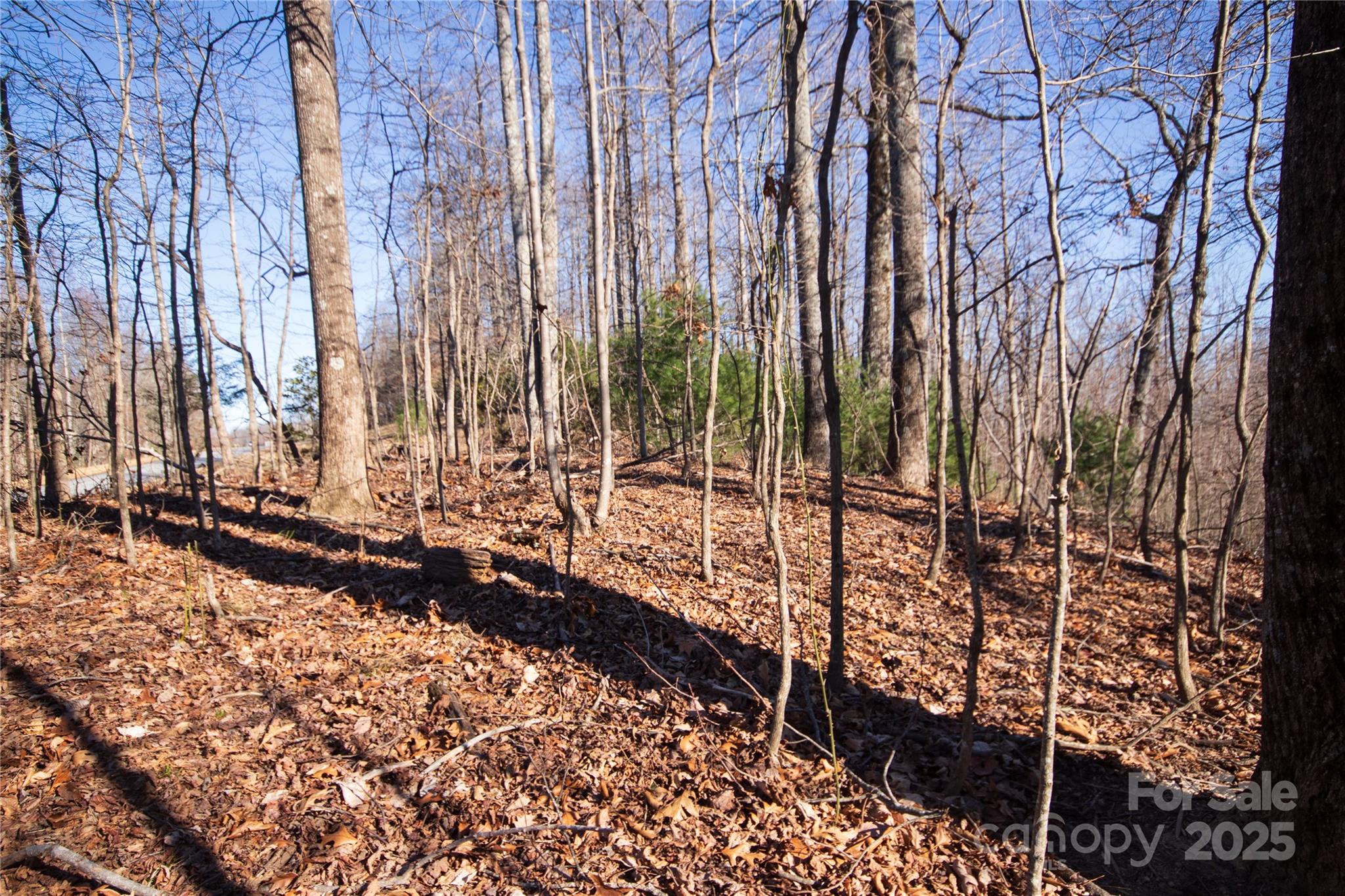 2223 Nighthawk Ridge Court Lenoir NC 28645