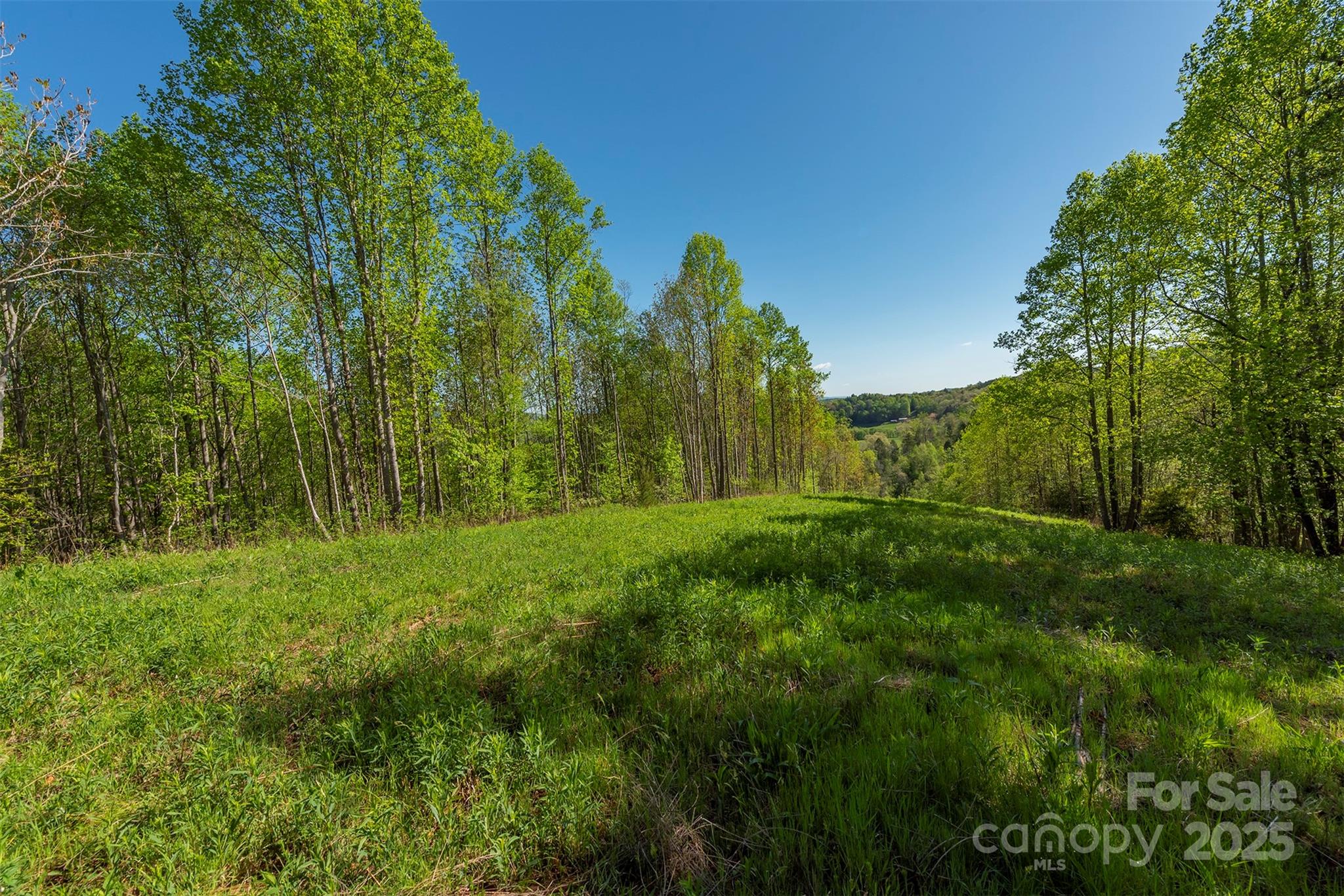 000 Thousand Oaks Drive Old Fort NC 28752