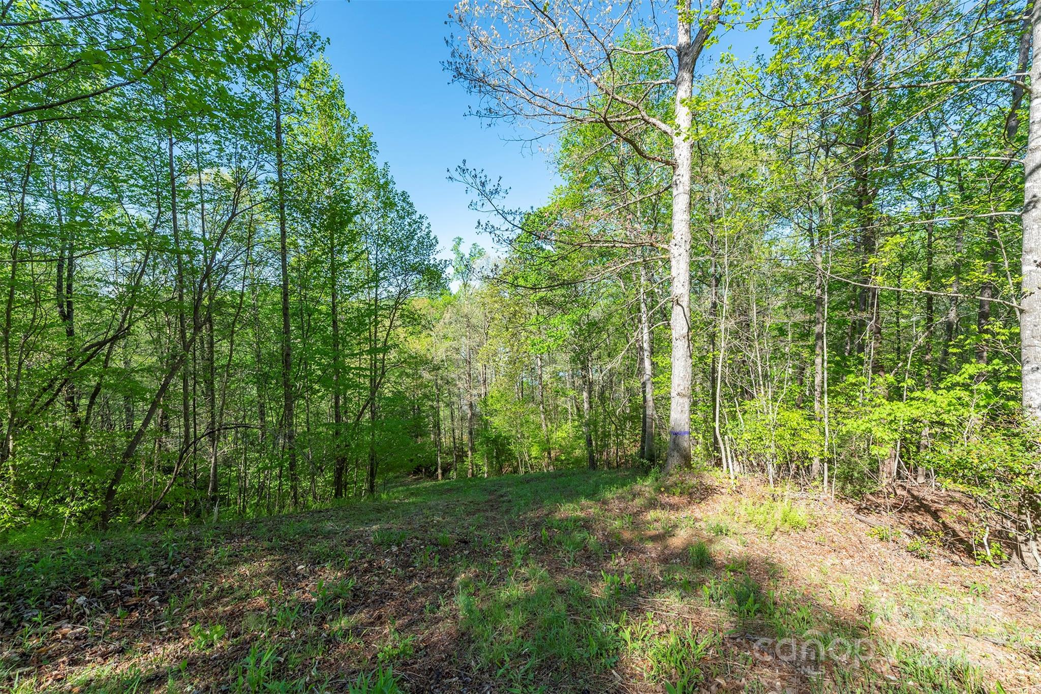 000 Thousand Oaks Drive Old Fort NC 28752
