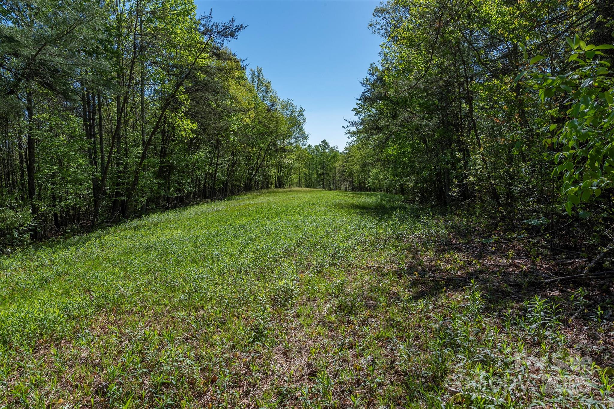 000 Thousand Oaks Drive Old Fort NC 28752