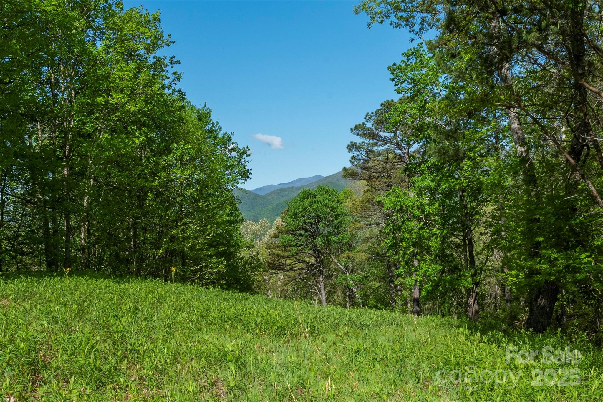 000 Thousand Oaks Drive Old Fort NC 28752