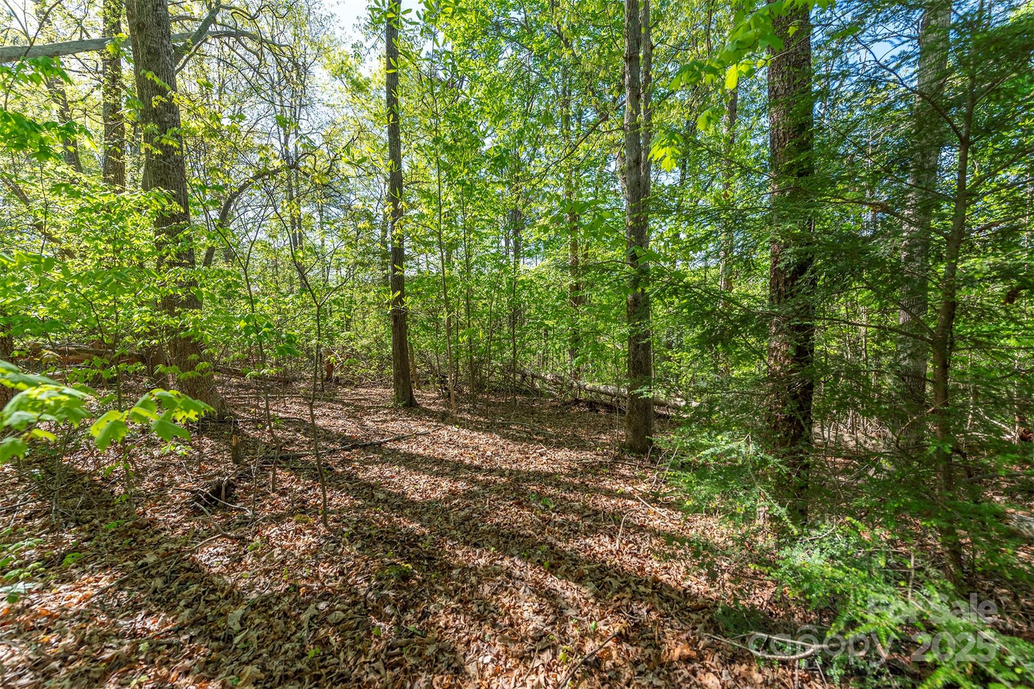 000 Thousand Oaks Drive Old Fort NC 28752