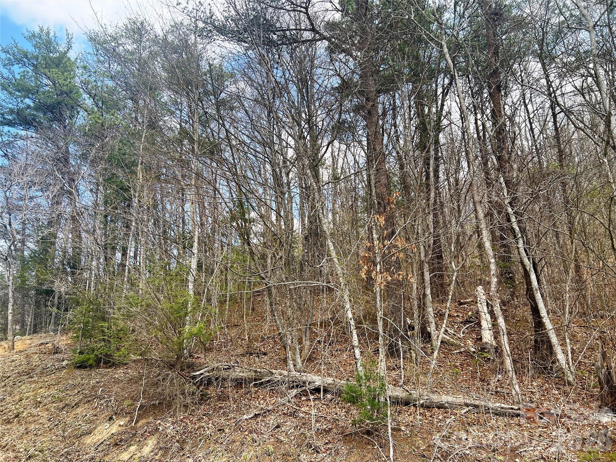 Tbd Moonbeam Lane Clyde NC 28721