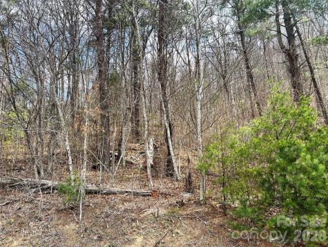 Tbd Moonbeam Lane Clyde NC 28721