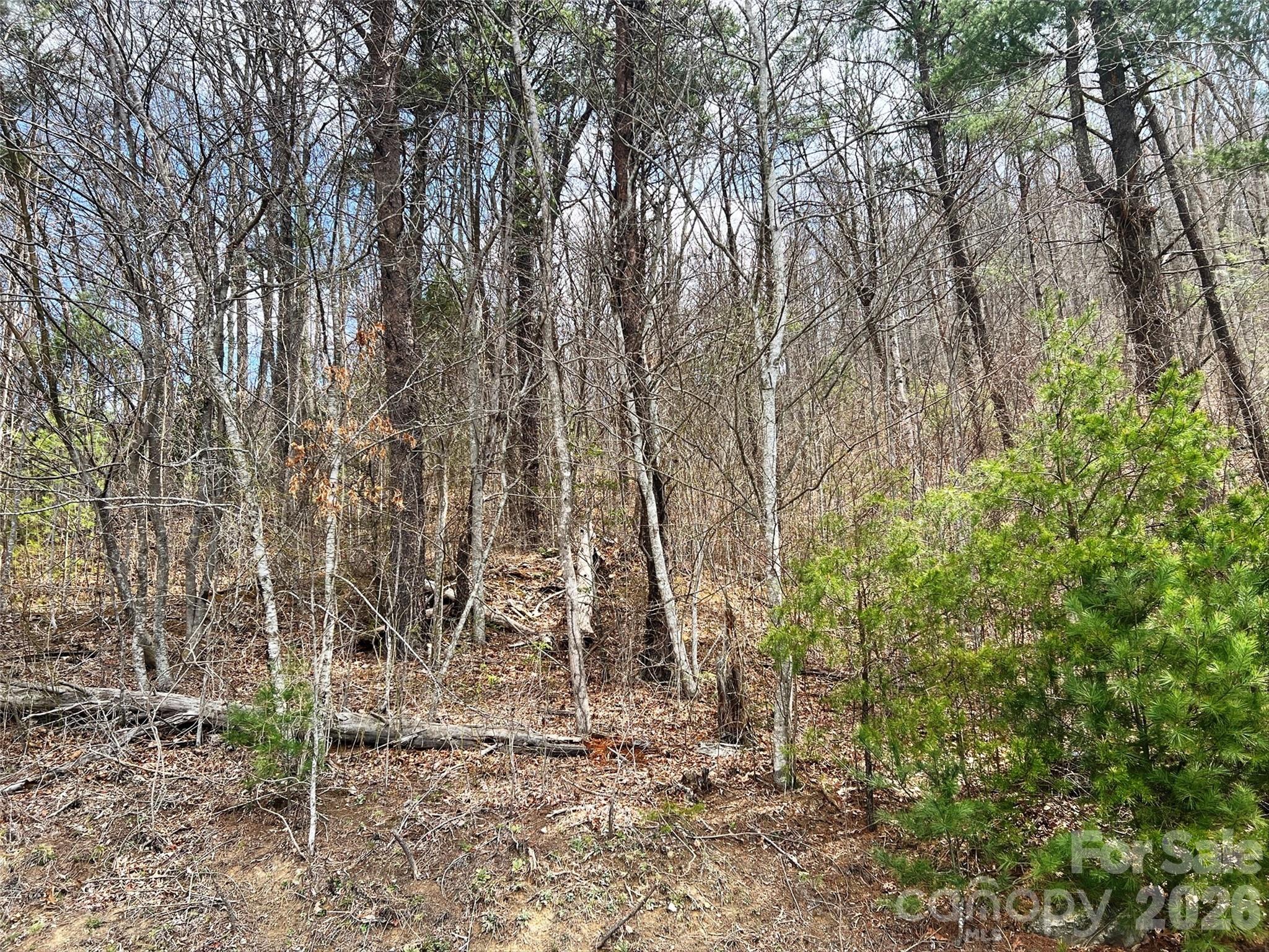 Tbd Moonbeam Lane Clyde NC 28721