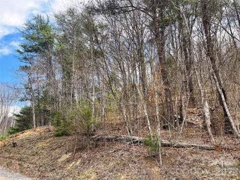 Tbd Moonbeam Lane Clyde NC 28721