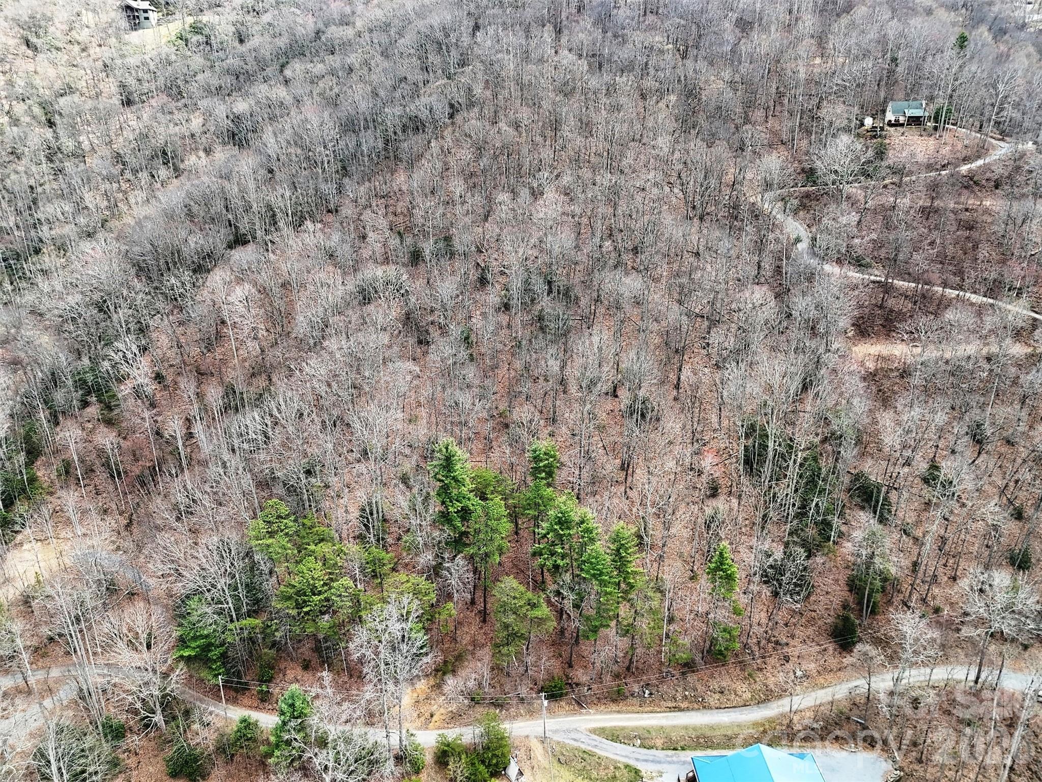 Tbd Moonbeam Lane Clyde NC 28721