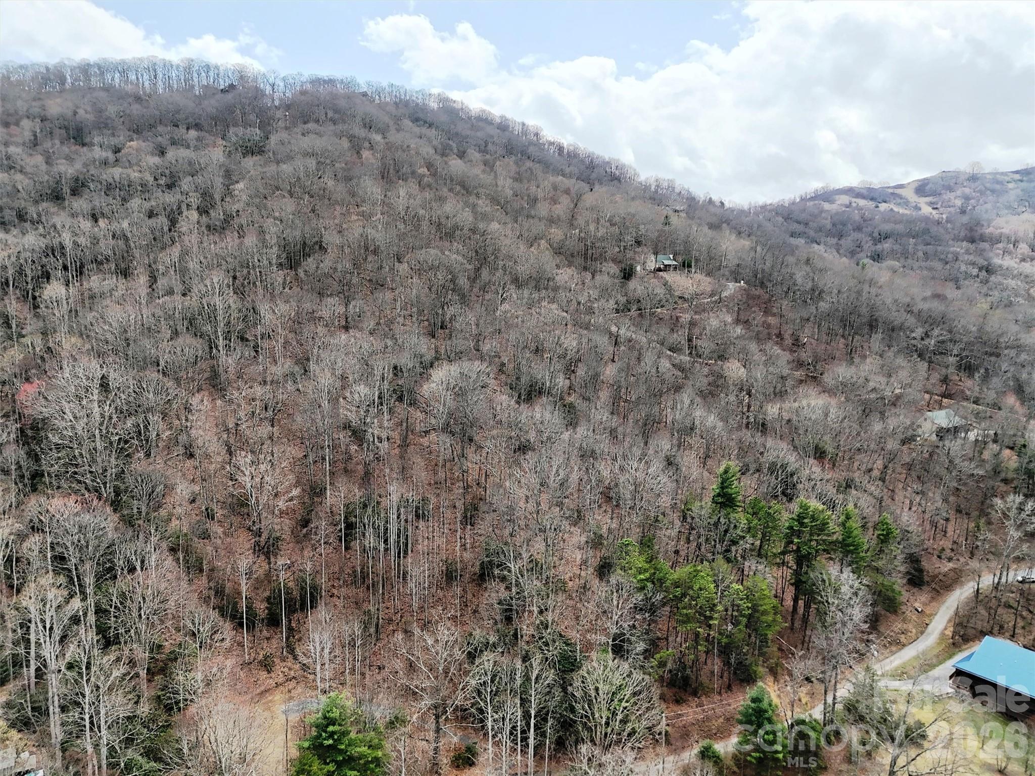 Tbd Moonbeam Lane Clyde NC 28721