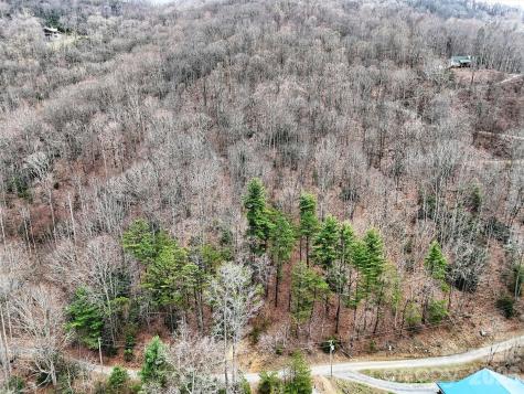 Tbd Moonbeam Lane Clyde NC 28721