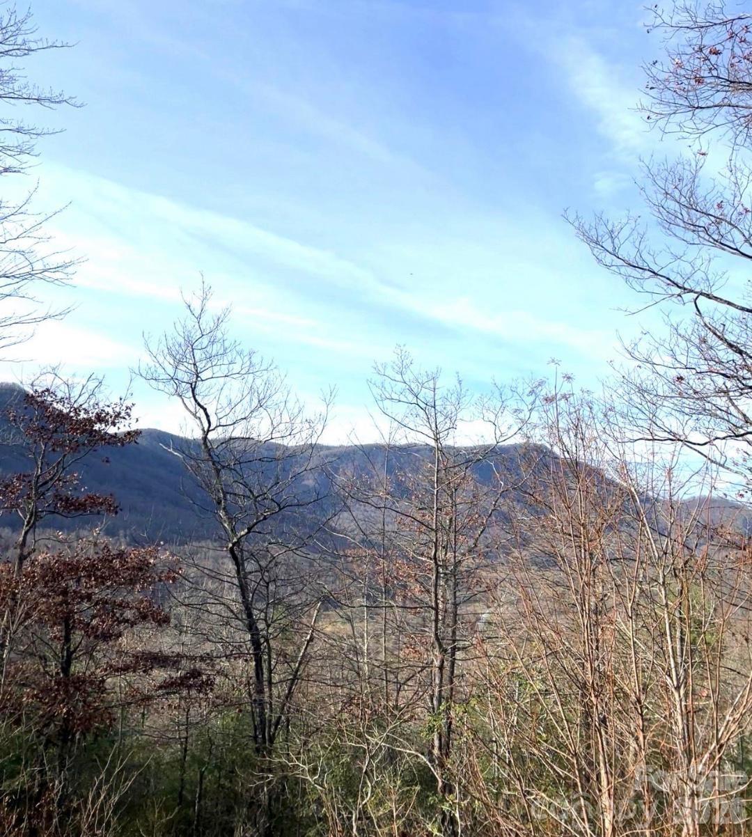 Lot 51a Wilderness Drive Marion NC 28752