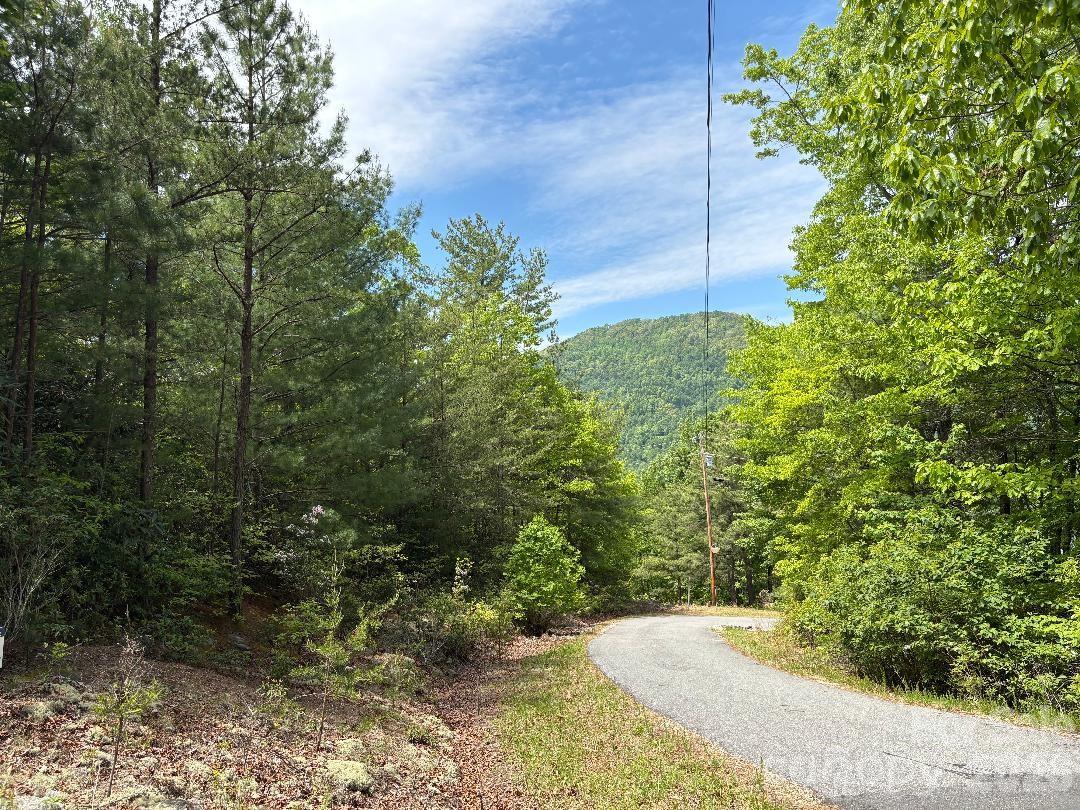 Lot 51a Wilderness Drive Marion NC 28752