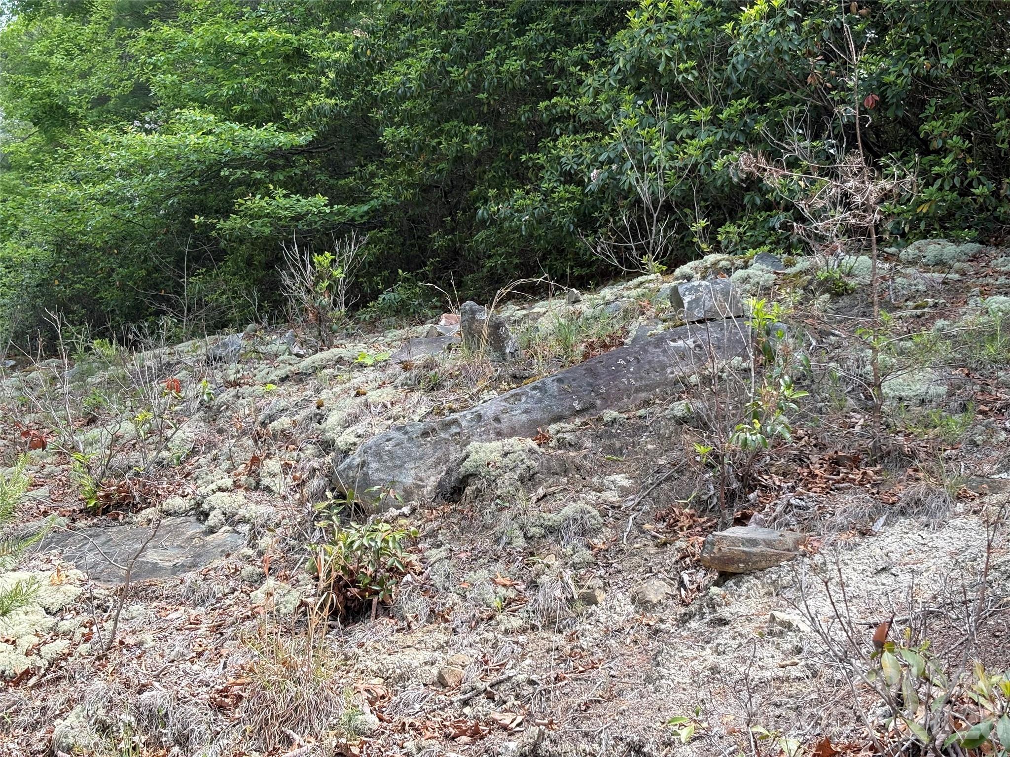 Lot 51a Wilderness Drive Marion NC 28752