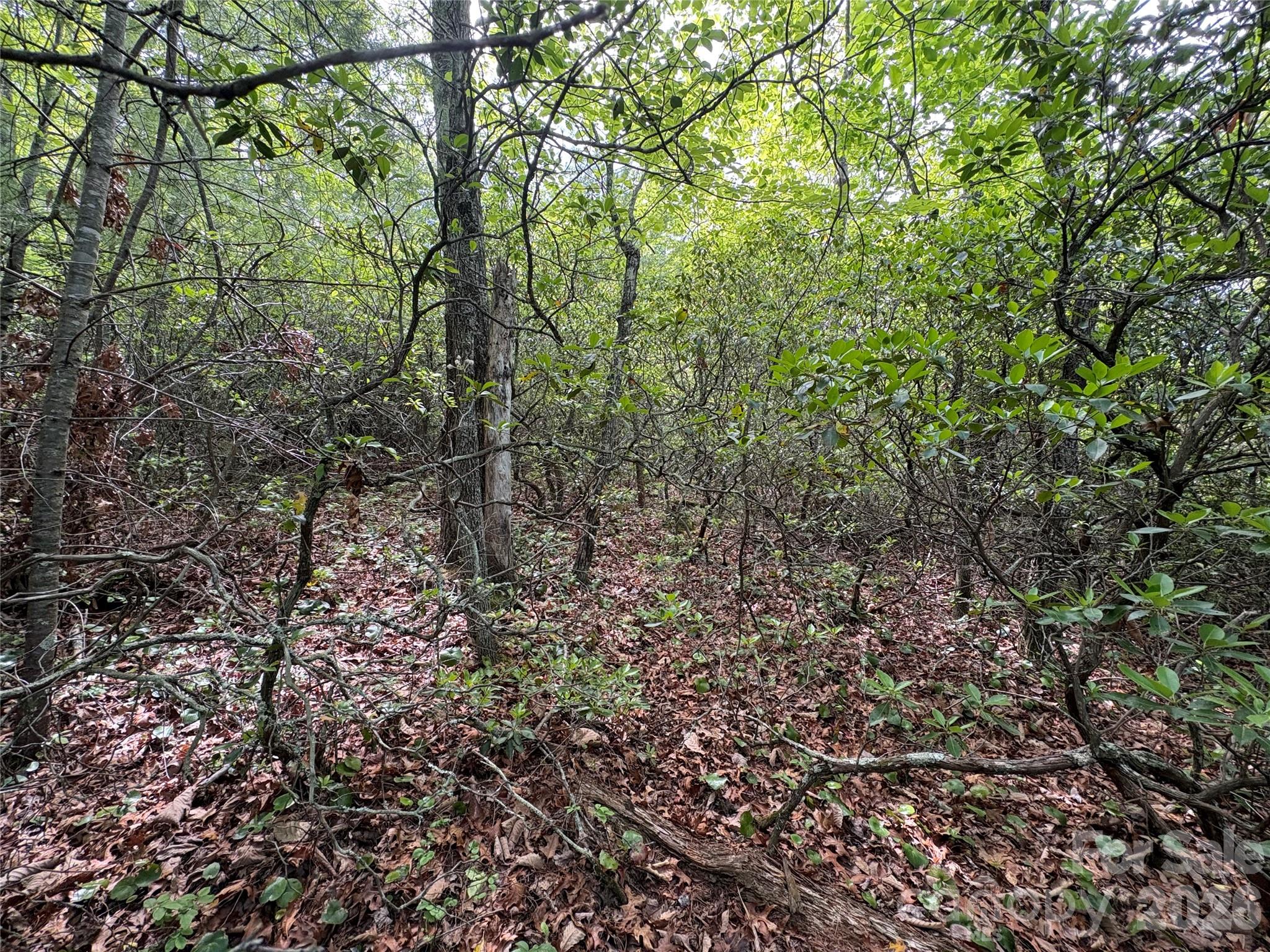 Lot 51a Wilderness Drive Marion NC 28752