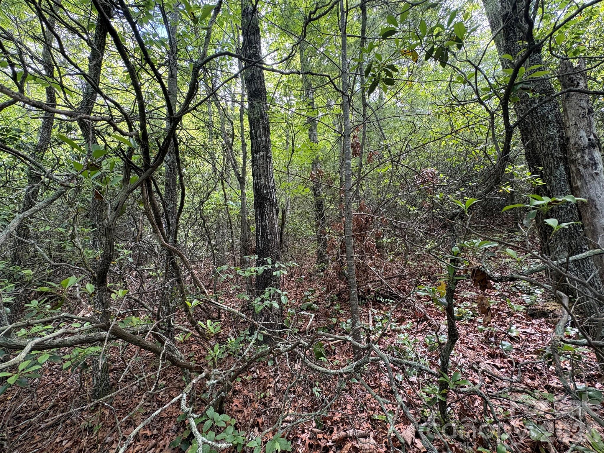 Lot 51a Wilderness Drive Marion NC 28752