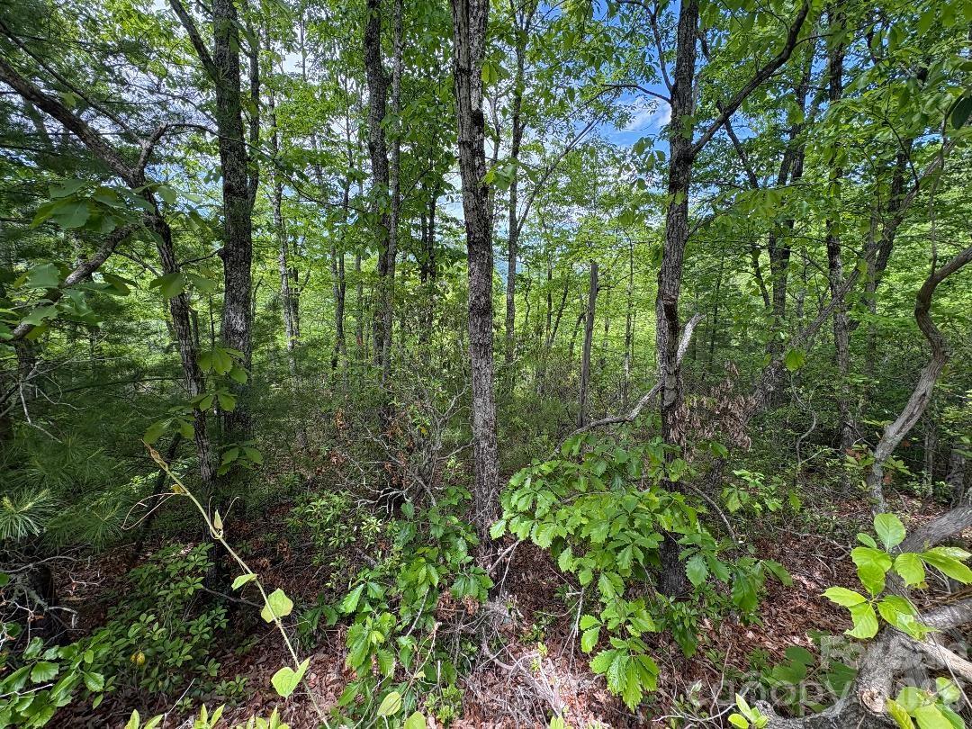 Lot 51a Wilderness Drive Marion NC 28752
