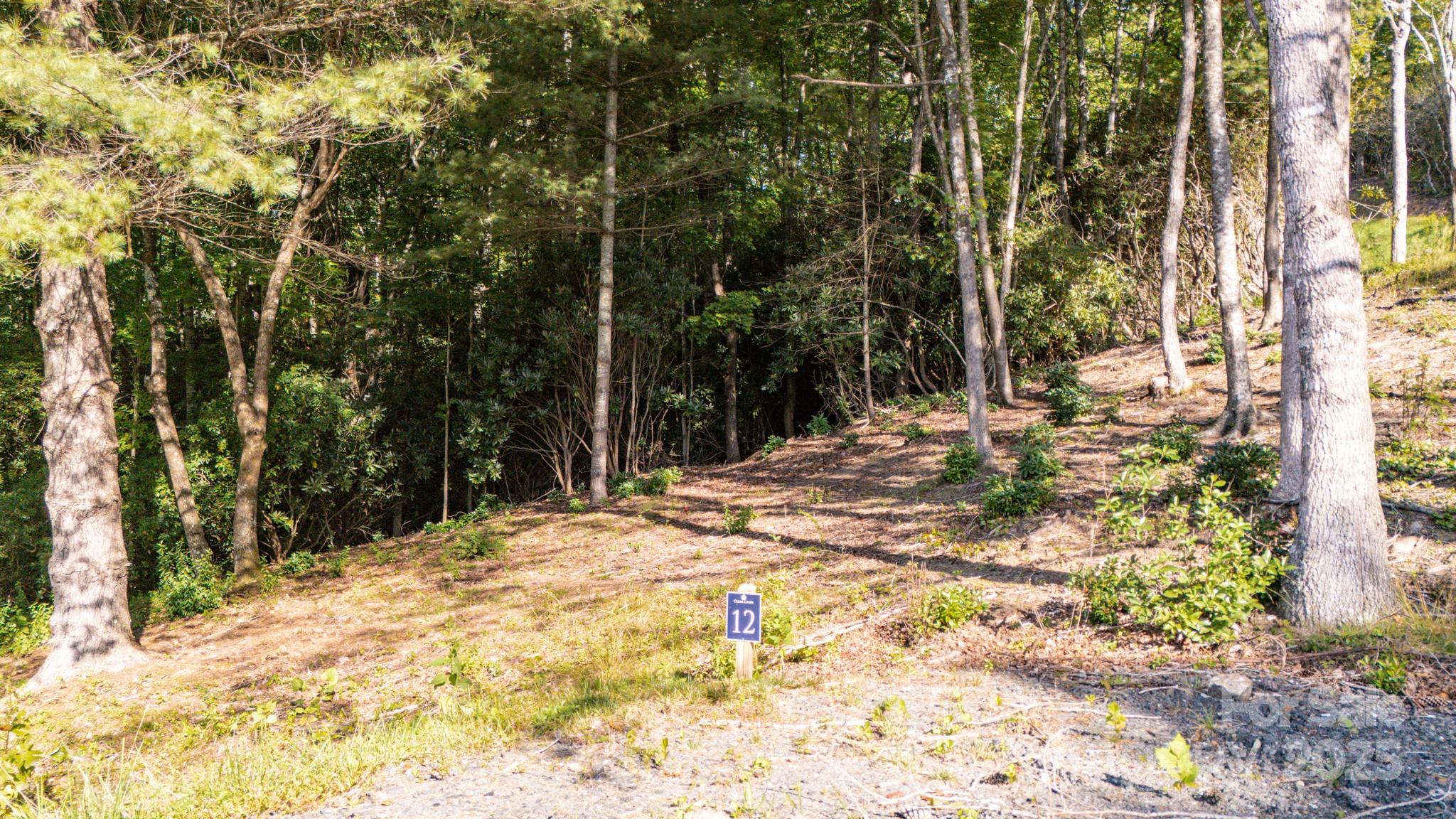 0 Clear Creek Drive Spruce Pine NC 28777