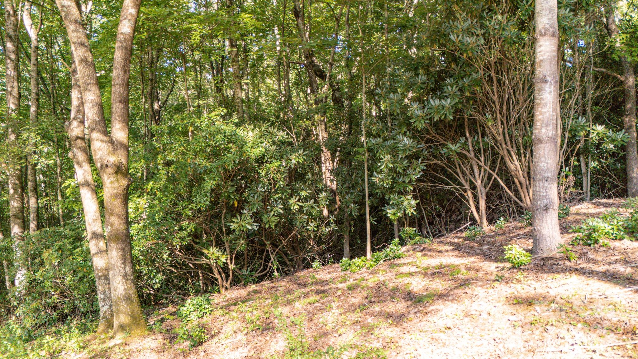 0 Clear Creek Drive Spruce Pine NC 28777
